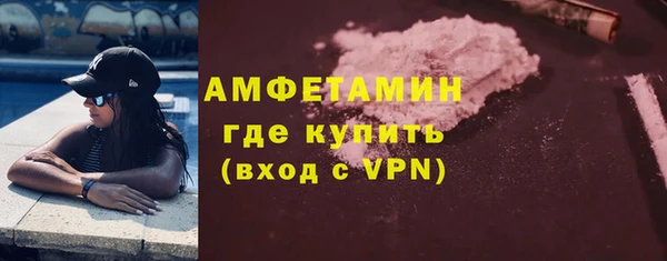 сатива Алзамай