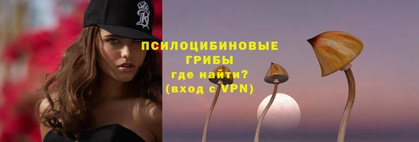 тгк Аркадак