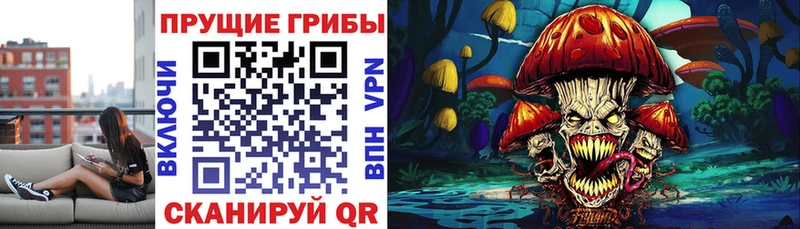 MEGA рабочий сайт  Анапа  Галлюциногенные грибы Cubensis  купить наркоту 